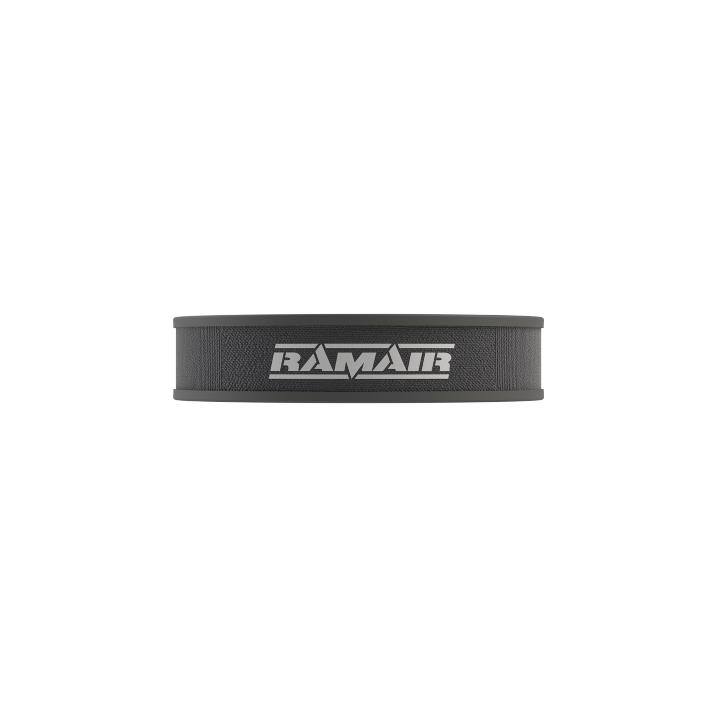 Ramair Replacement Panel Filter to fit Audi 50/VW MK1 Polo/VW MK2 Golf