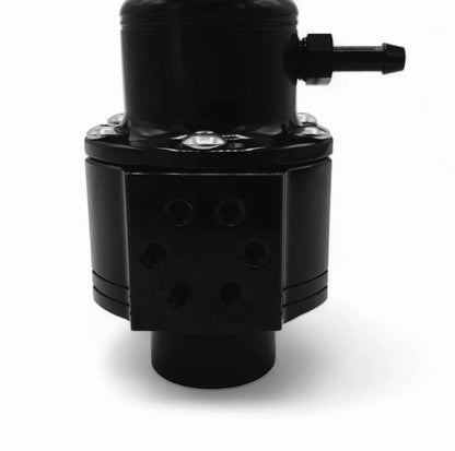 Fuel Pressure Regulator